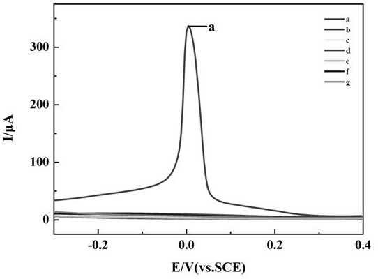 Preparation method of phospholipase C sensor based on atom transfer radical polymerization