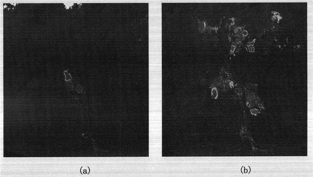 Multi-temporal remote sensing image change detection method based on fuzzy compatibility map