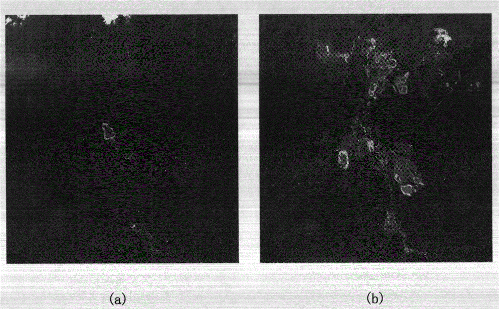 Multi-temporal remote sensing image change detection method based on fuzzy compatibility map