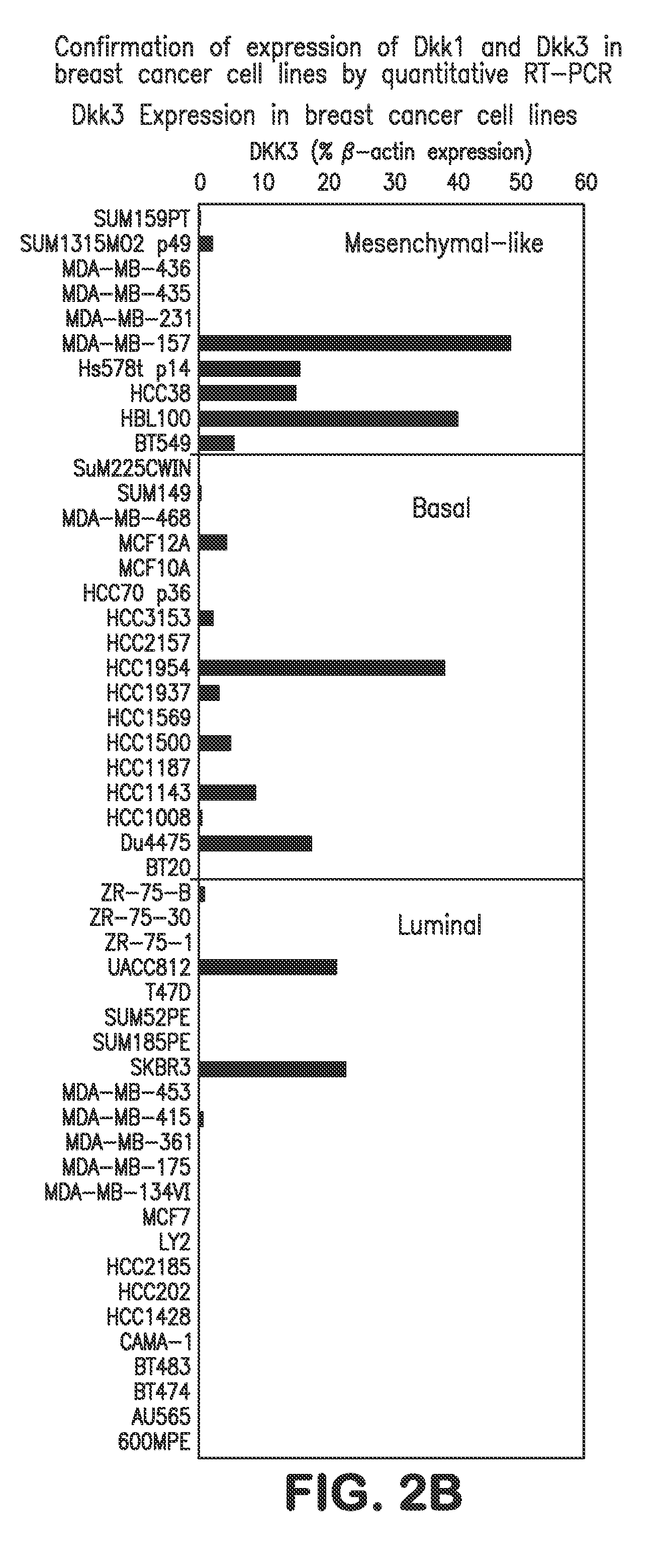 Compositions and Methods for Inhibiting Cell Migration