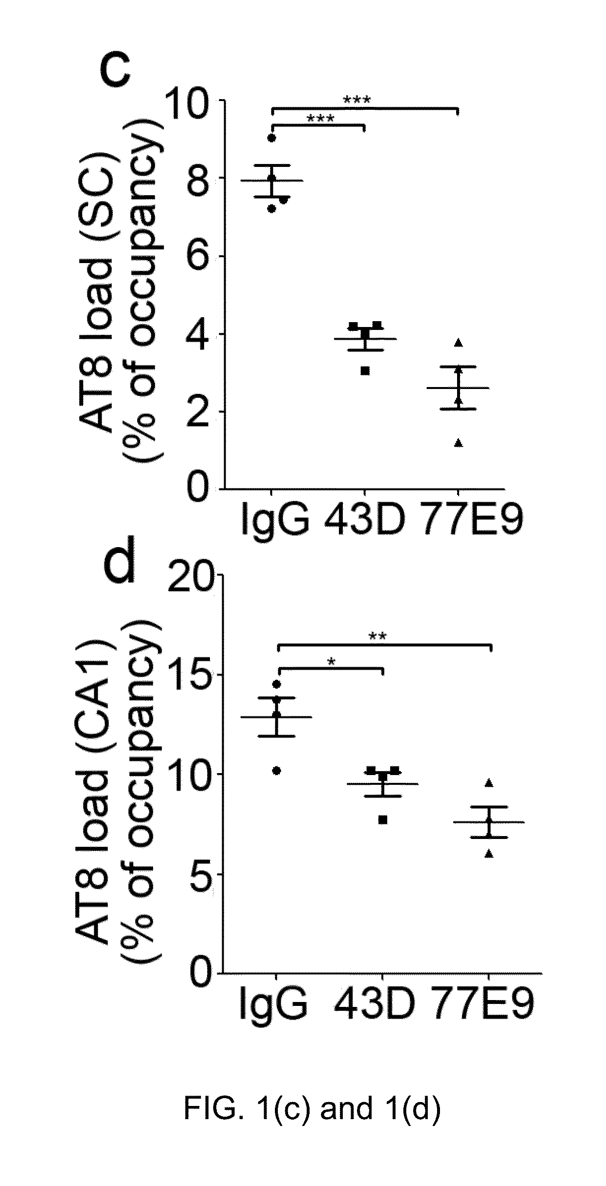 Treatment of tauopathies by passive immunization targeting the n-terminal projection domain of tau