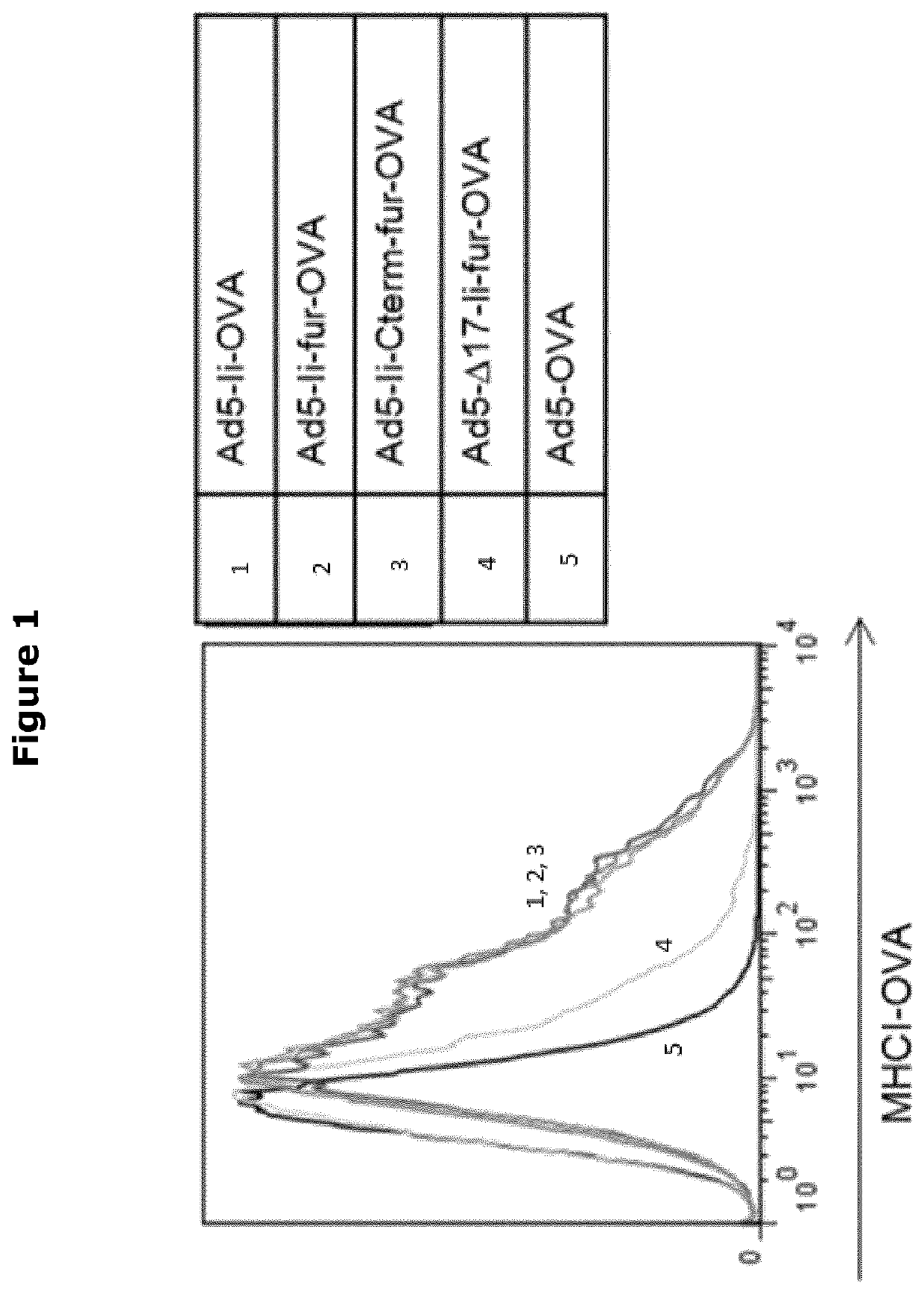 Ii vaccine adjuvant