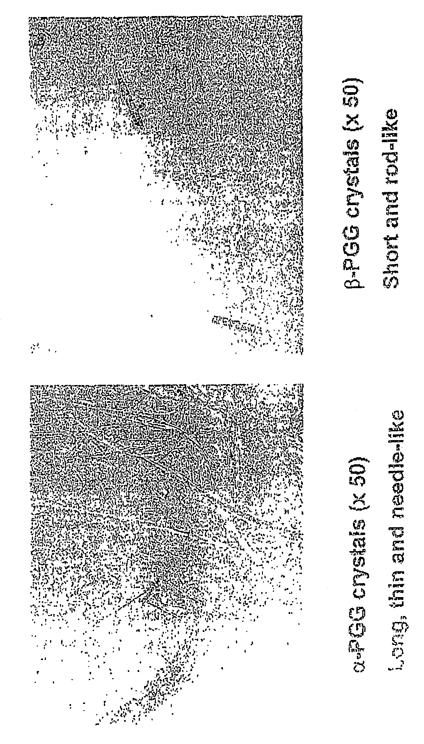 PGG separation and purification