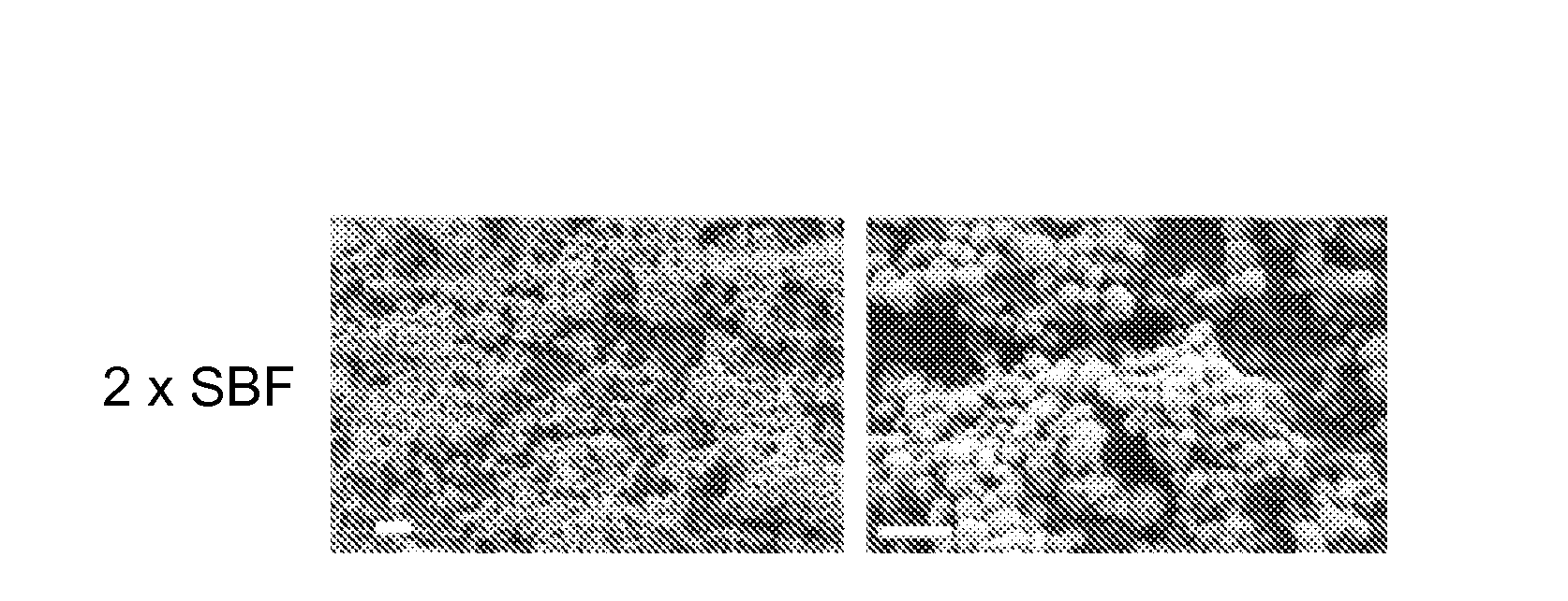 Enhanced throughput mineral coatings for optimization of stem cell behavior