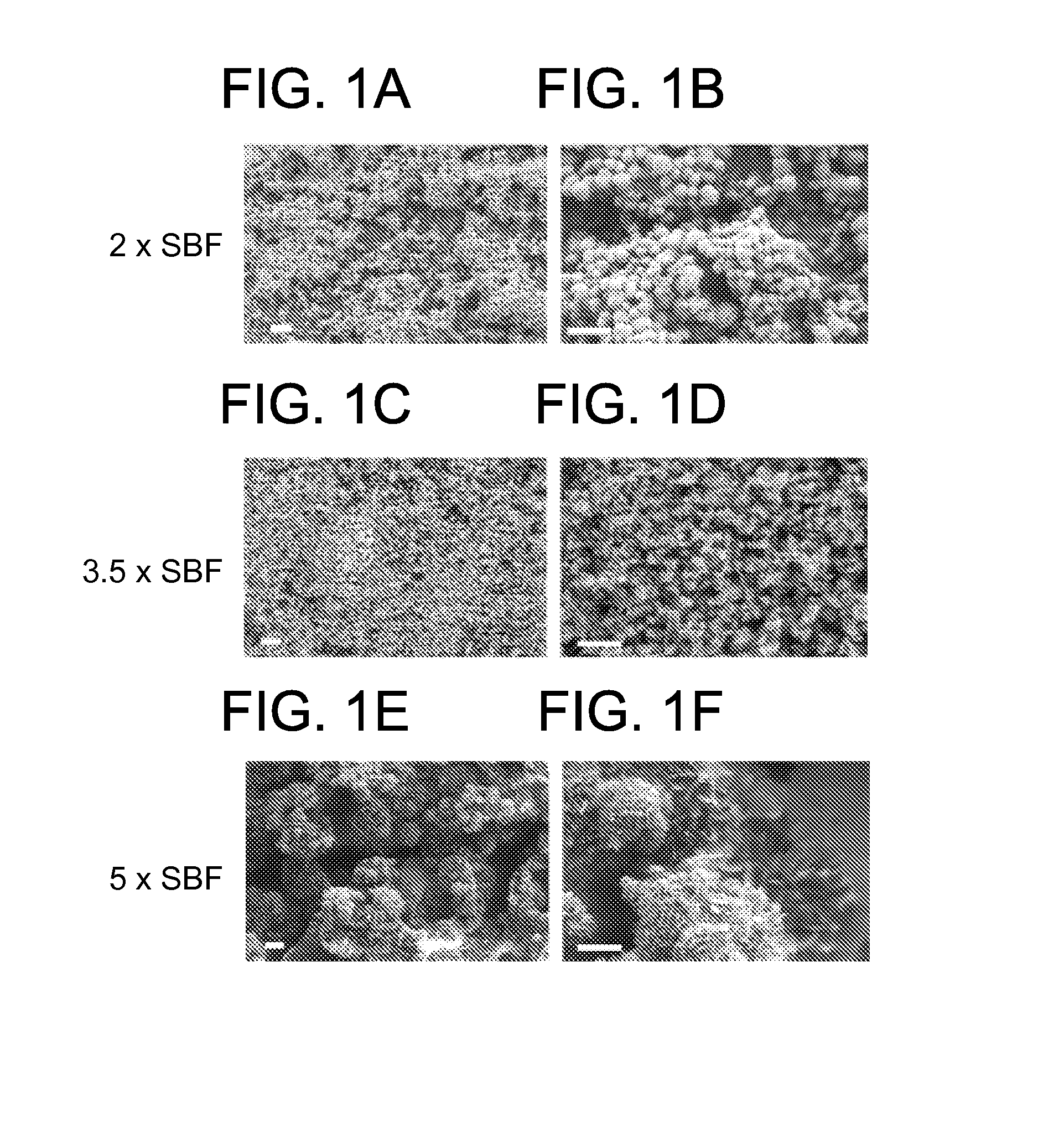 Enhanced throughput mineral coatings for optimization of stem cell behavior