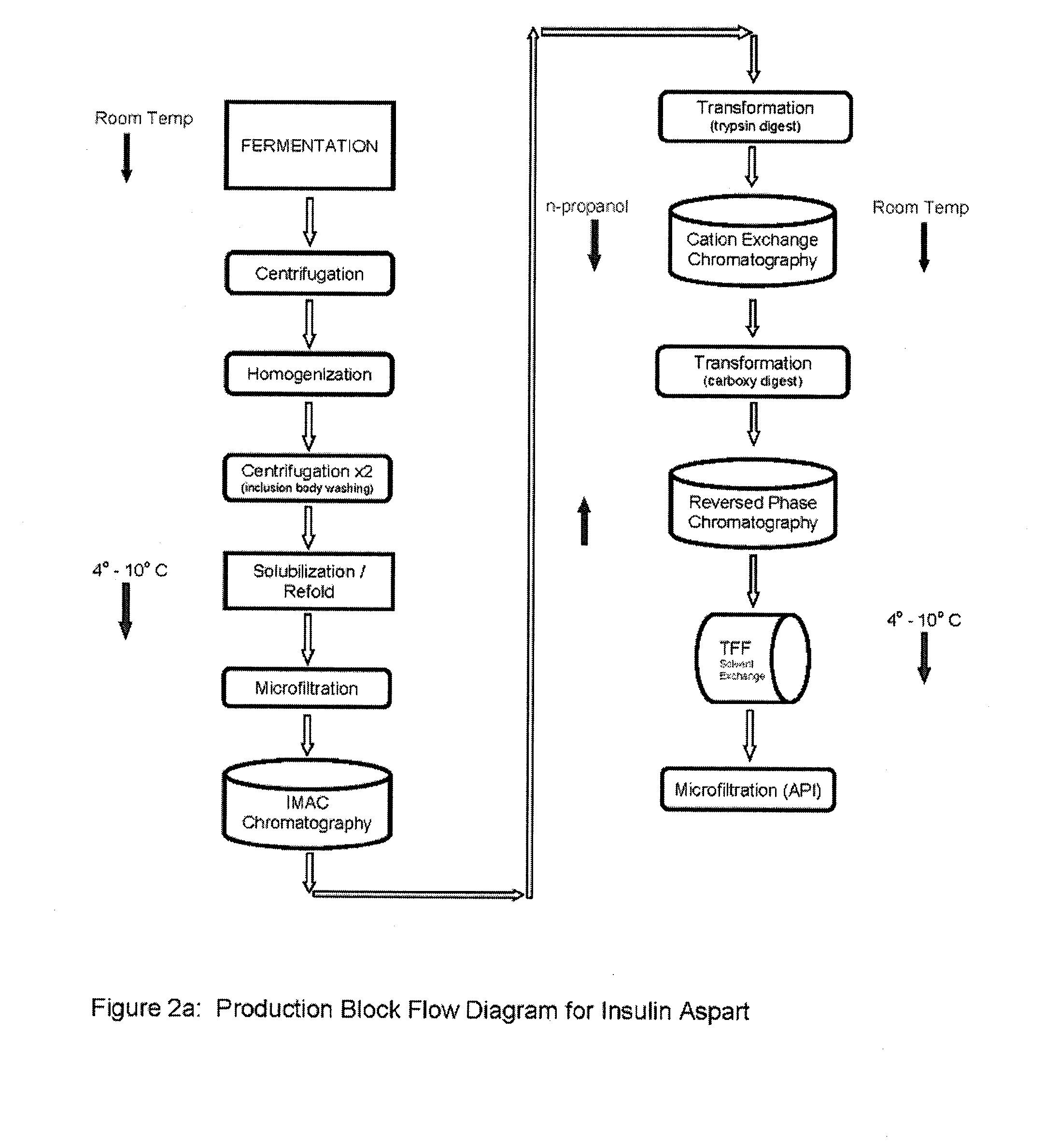 Aspart proinsulin compositions and methods of producing aspart insulin analogs therefrom