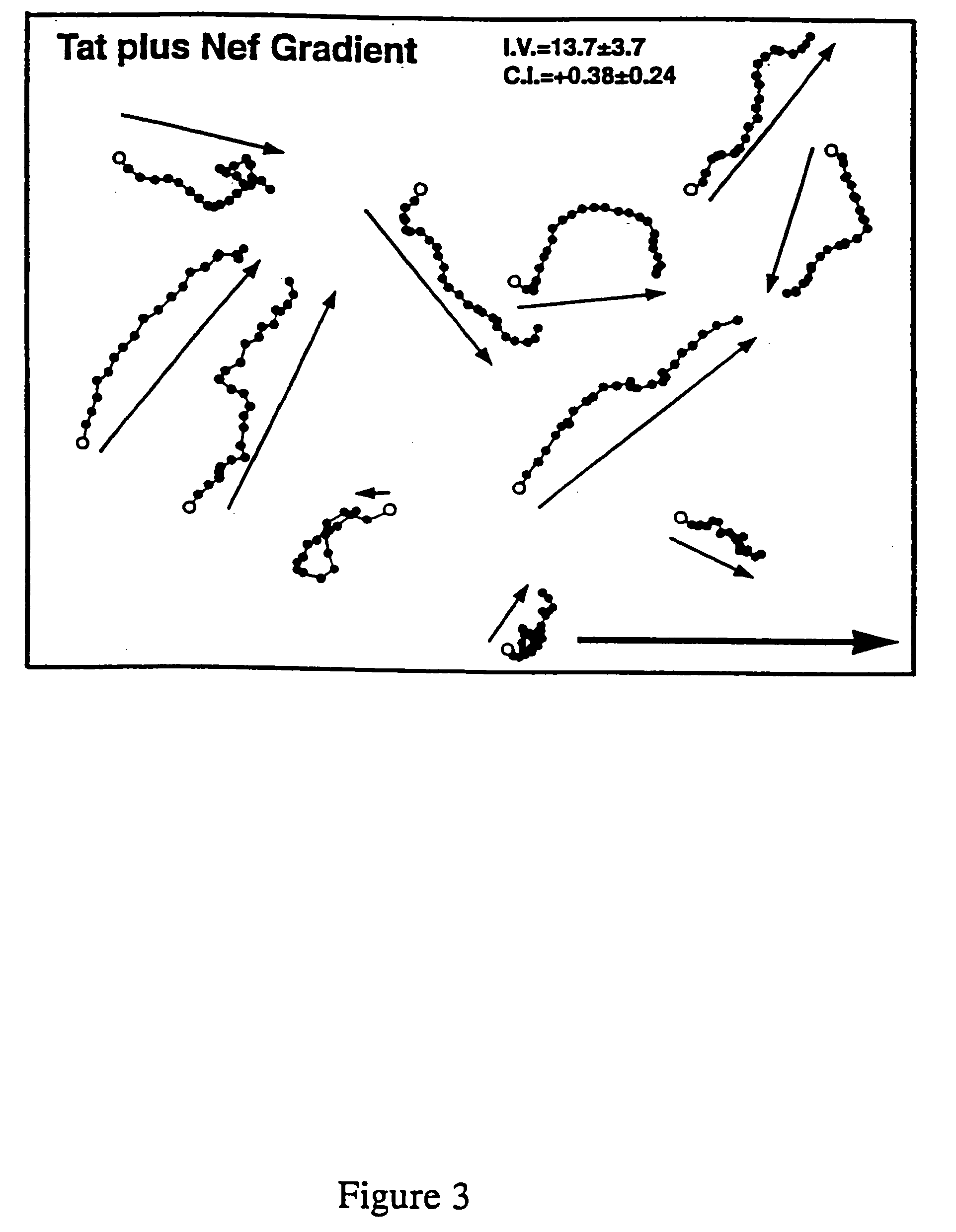 HIV-encoded chemoattractant