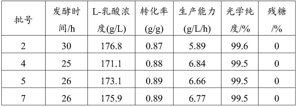 A kind of Bacillus coagulans and its method for preparing L-lactic acid