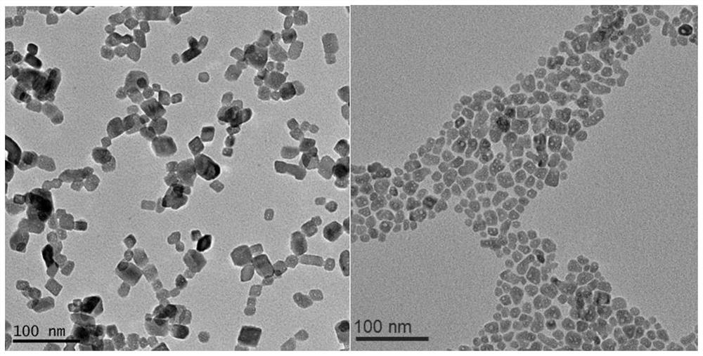 Preparation method of monodisperse oil-phase nano barium sulfate dispersion
