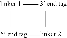 Methods for producing a paired tag from a nucleic acid sequence and methods of use thereof