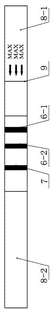 Rapid joint test strip for avian reticuloendotheliosis virus and subgroup j avian leukosis virus