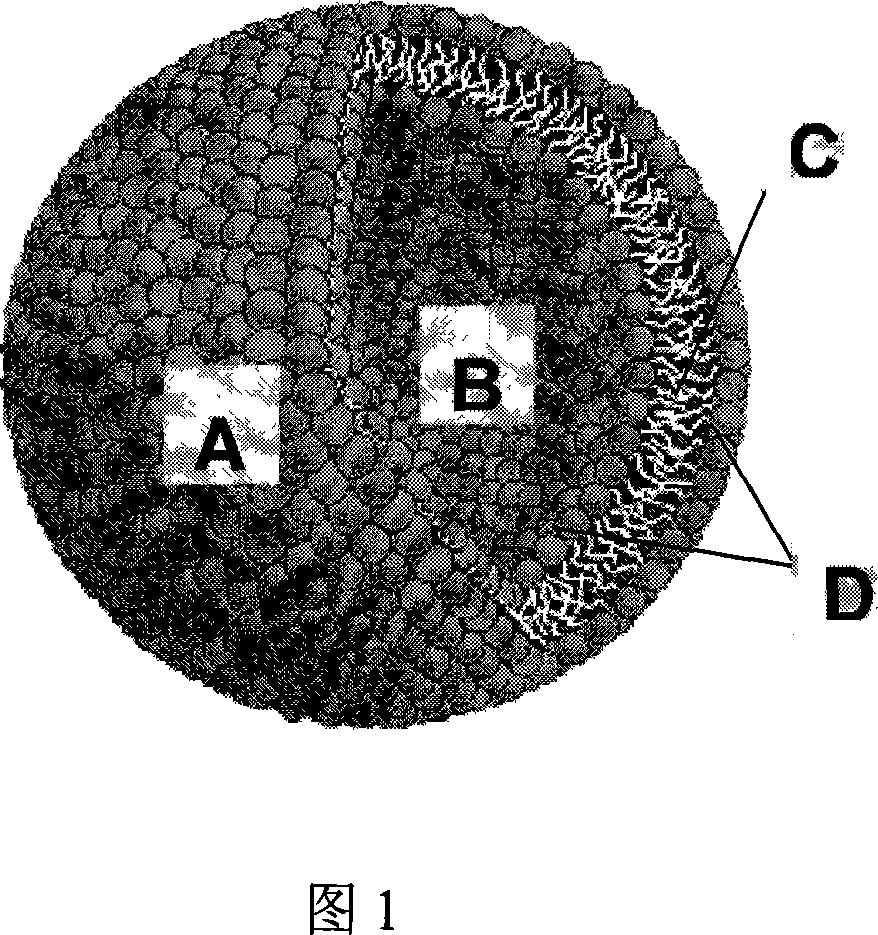 Carrier of liposome medication, and preparation method