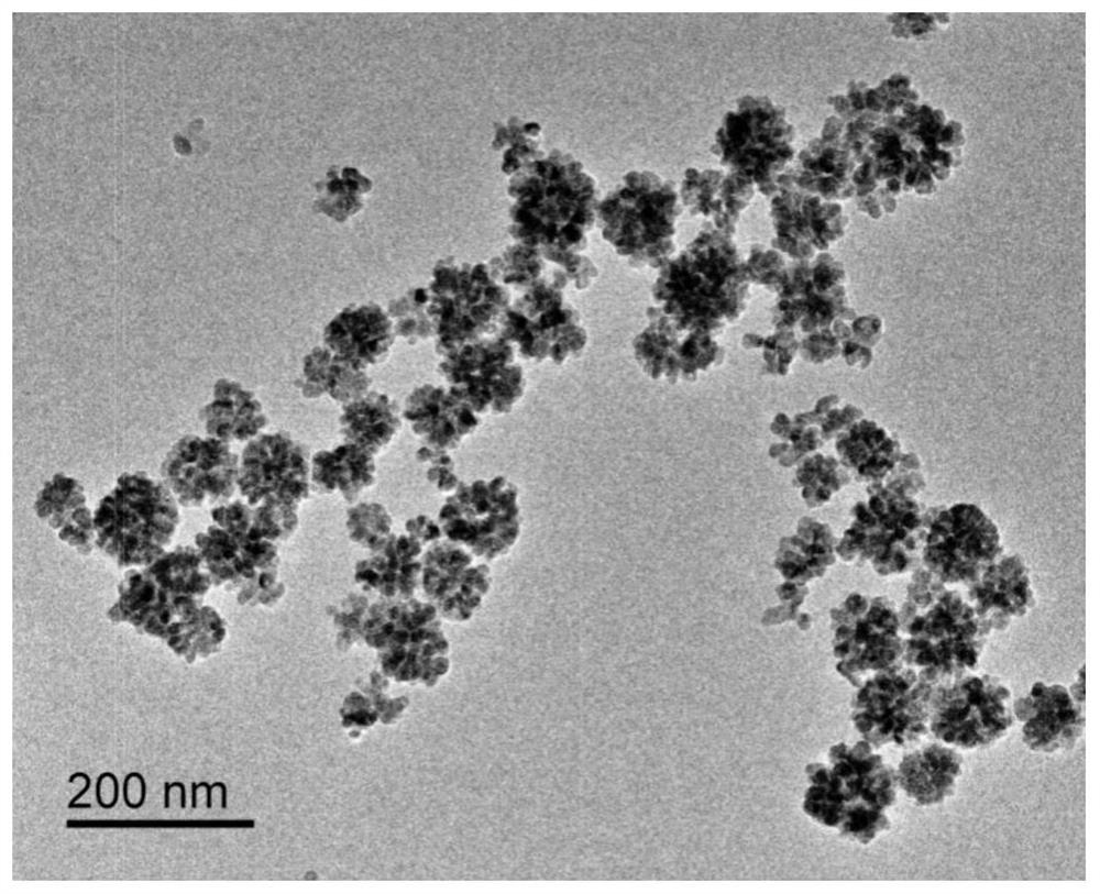 A kind of monodisperse, superparamagnetic ferroferric oxide nano flower and preparation method thereof