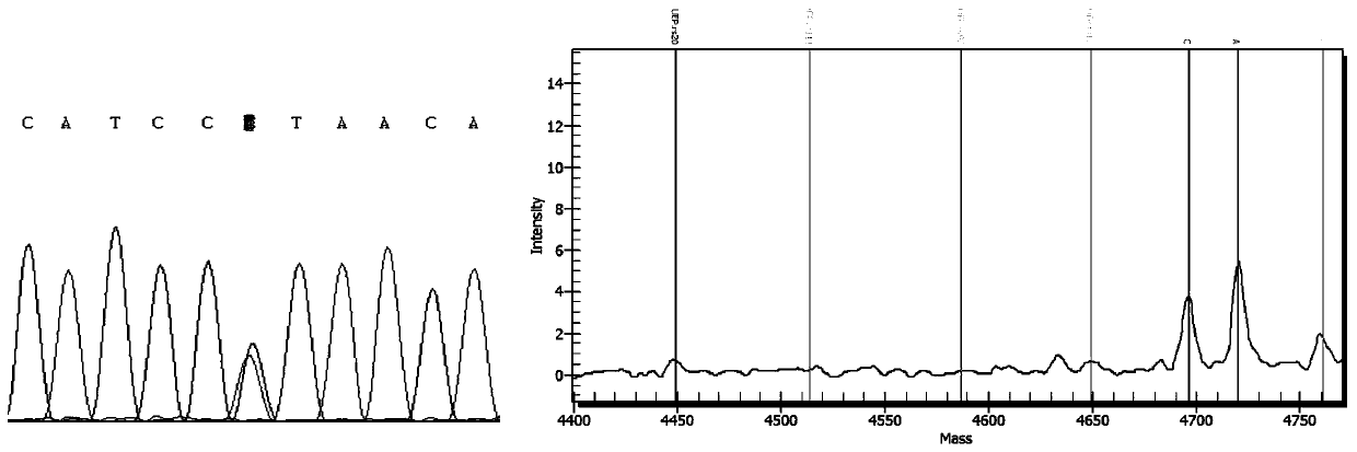 A set of primer combinations and kits for simultaneous detection of 93 bovine genetic defect genes and lethal haplotypes