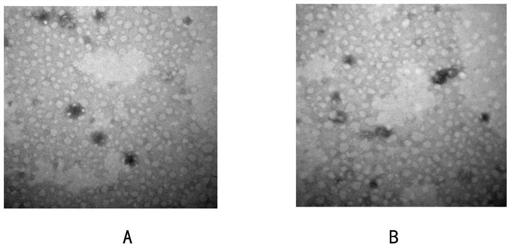 Preparation method for plasma exosomes of mobilized hematopoietic stem cells and application of plasma exosomes