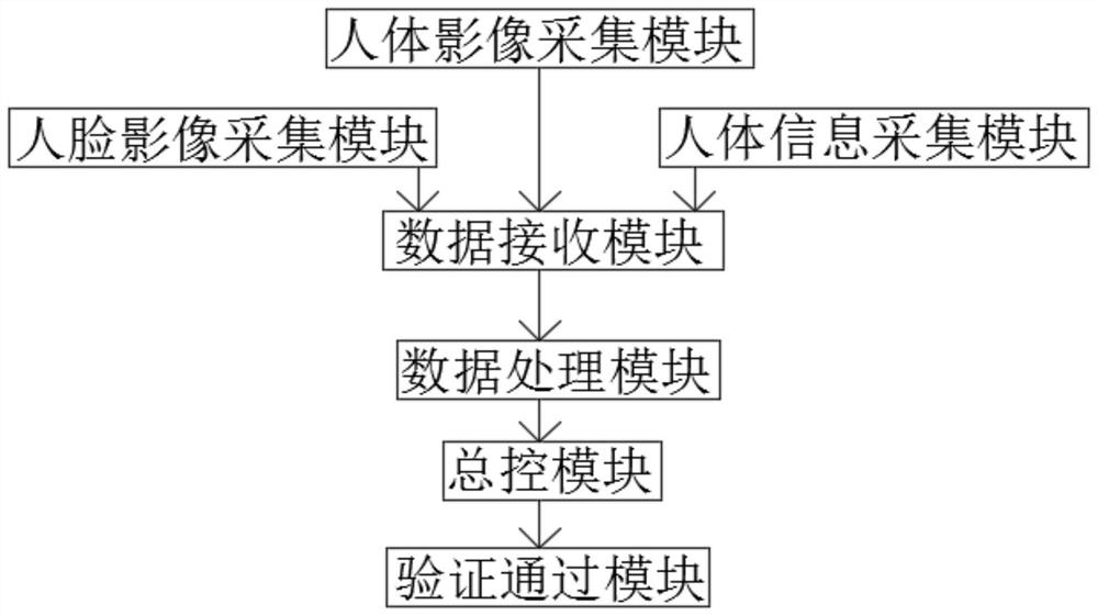 Identity recognition system based on data processing