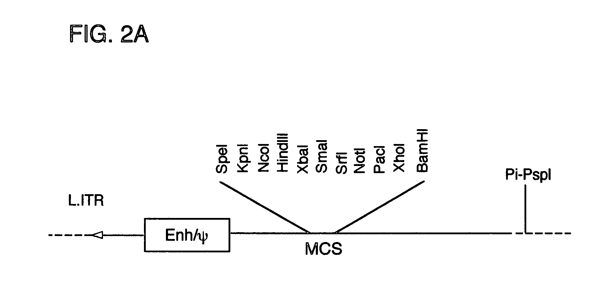 Self-rearranging DNA vectors