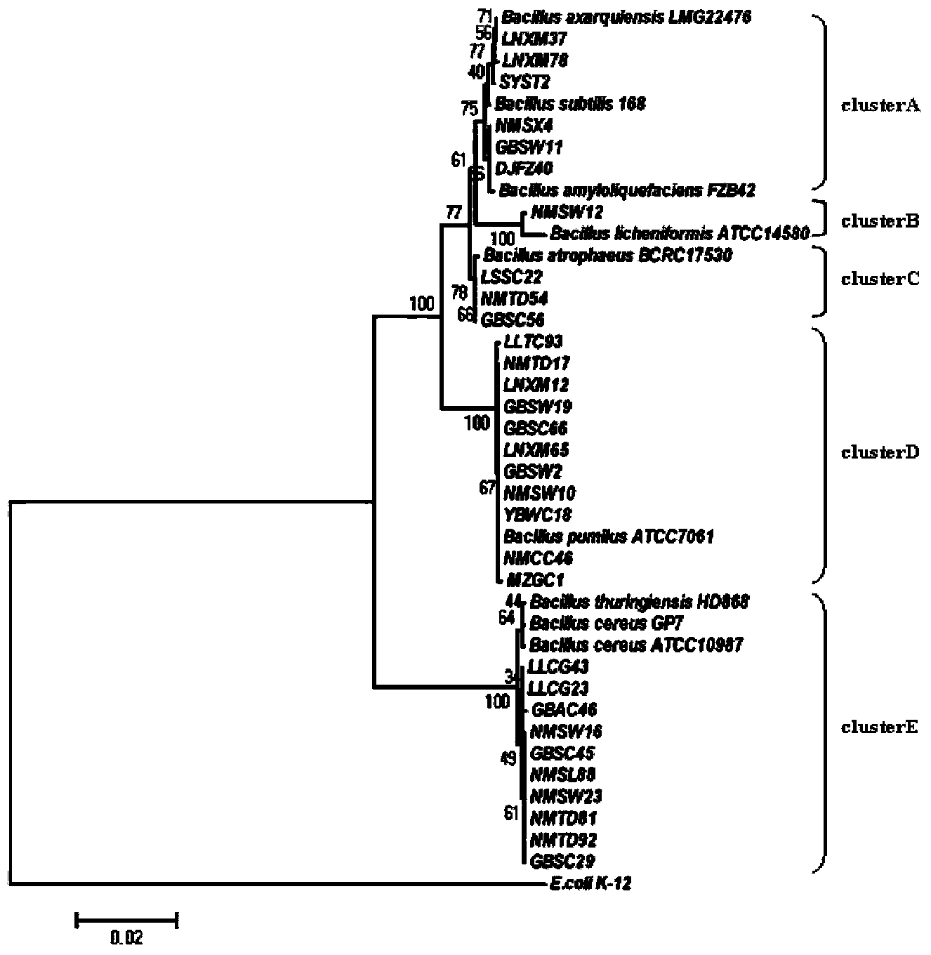 Bacillus pumilus GBSW19 and application thereof