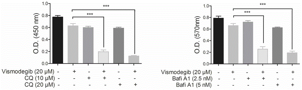 Anti-neoplastic pharmaceutical composition for targeting hedgehog pathway and cell autophagy