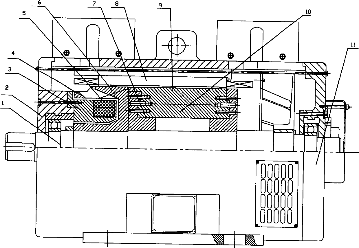 Composite excitation permanent magnet synchronous variable-speed motor