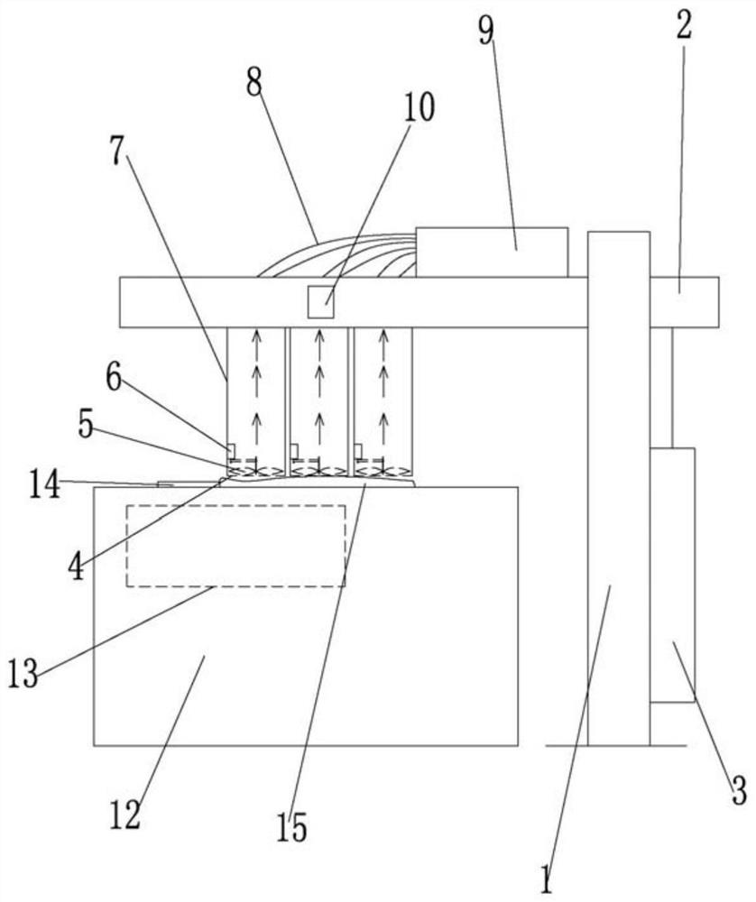 An automatic hairball removal device and method for identifying hairballs