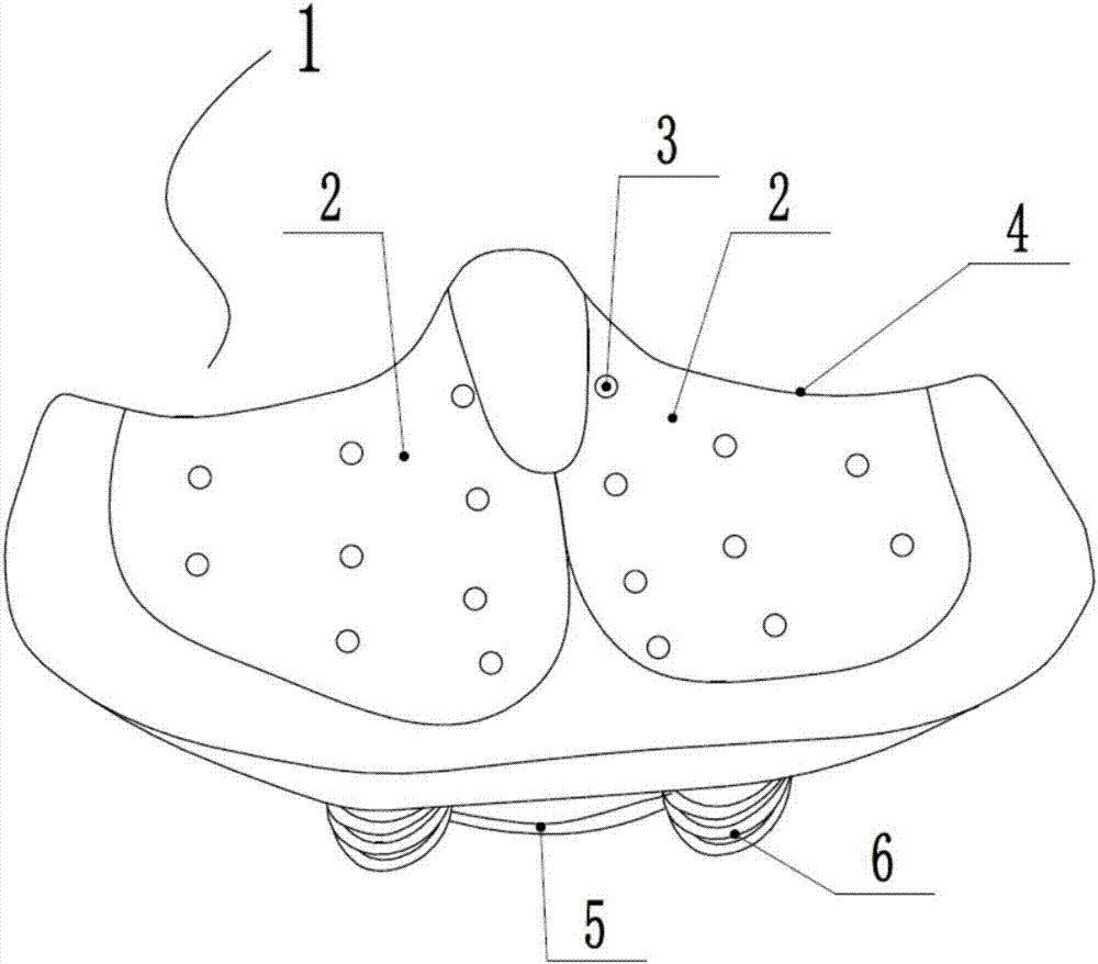 Buttock-model bike saddle bag