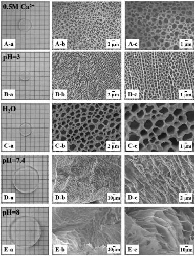 High-strength degradable hydrogel and preparation method thereof