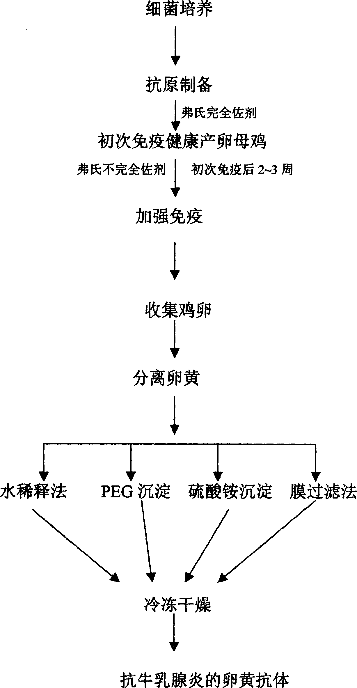 Bovine mastitis resistant yolk antibody and its preparation method and formulation