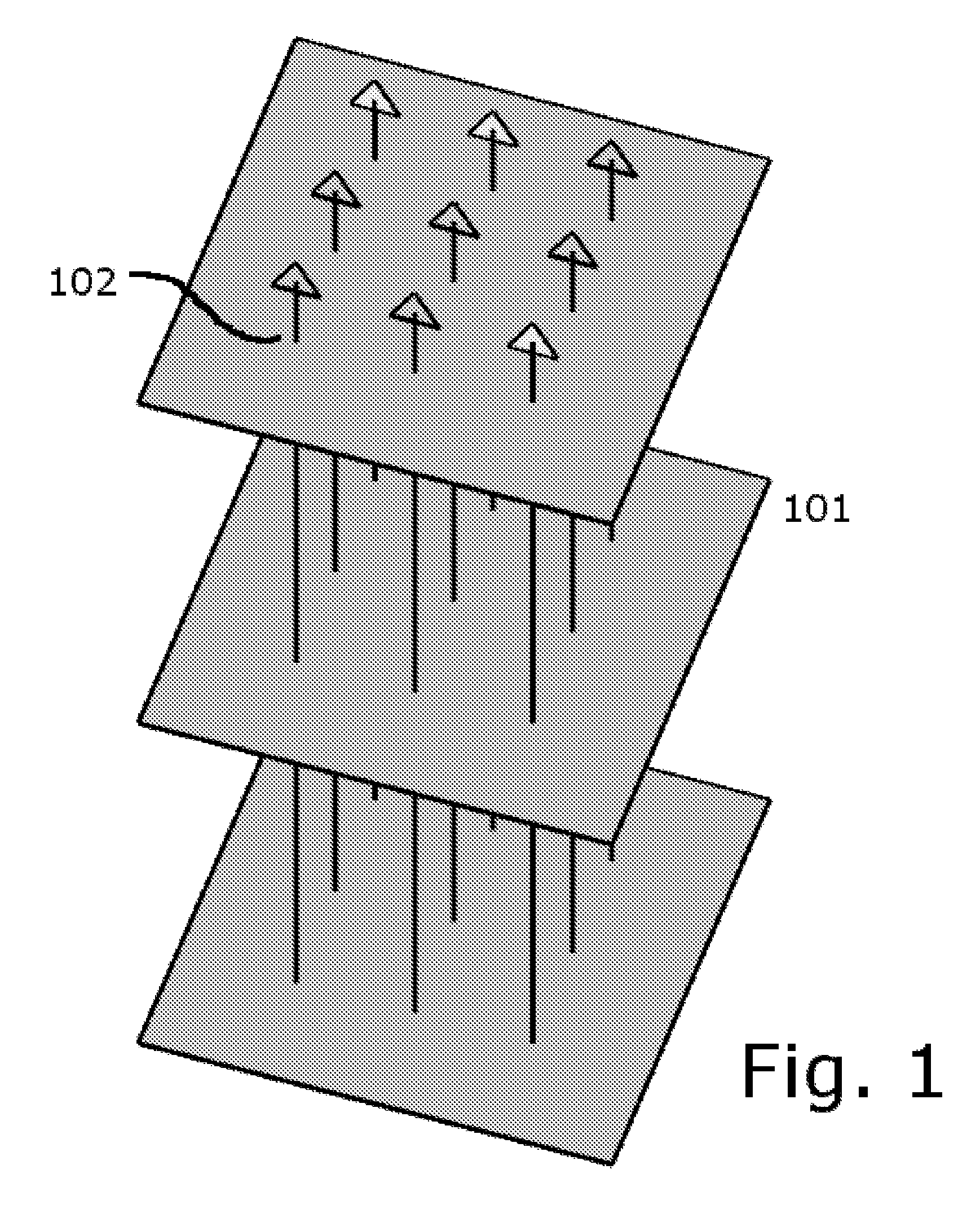 Data structure representing a plenoptic function via compressible layered orthographic projections from multiple orientations