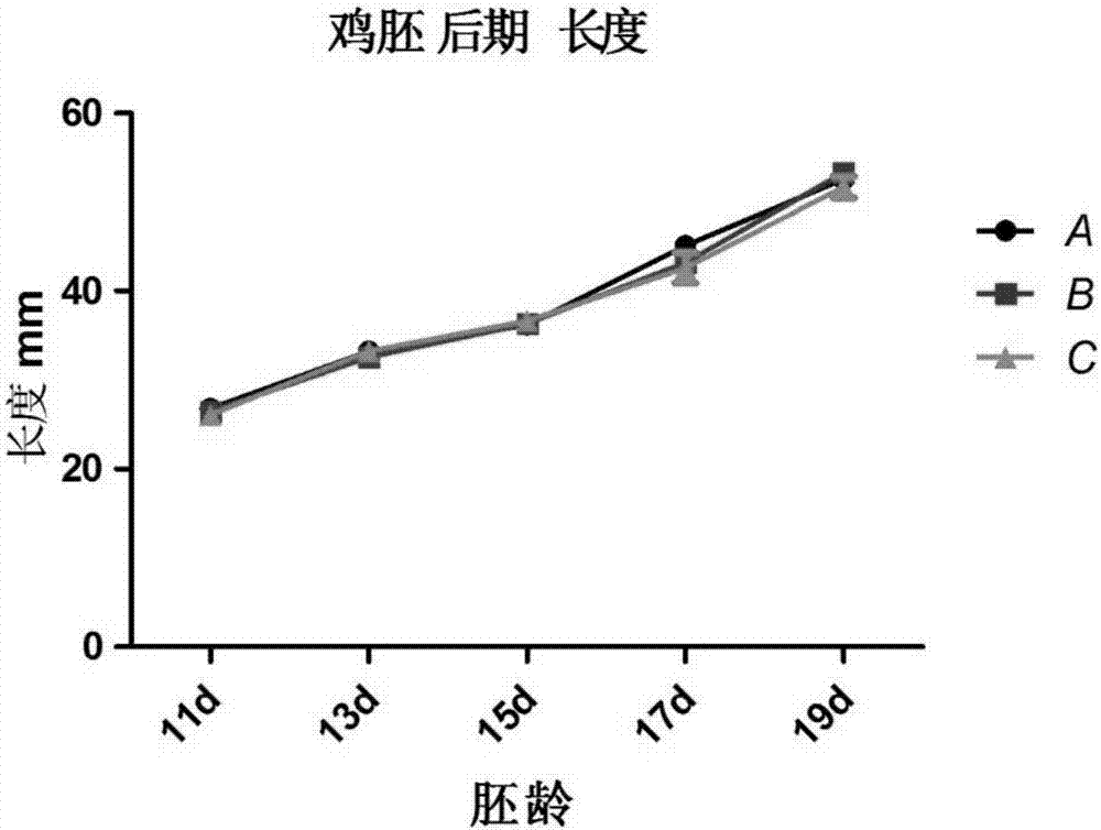 Breeding broiler feed capable of improving growth and meat production properties of broilers