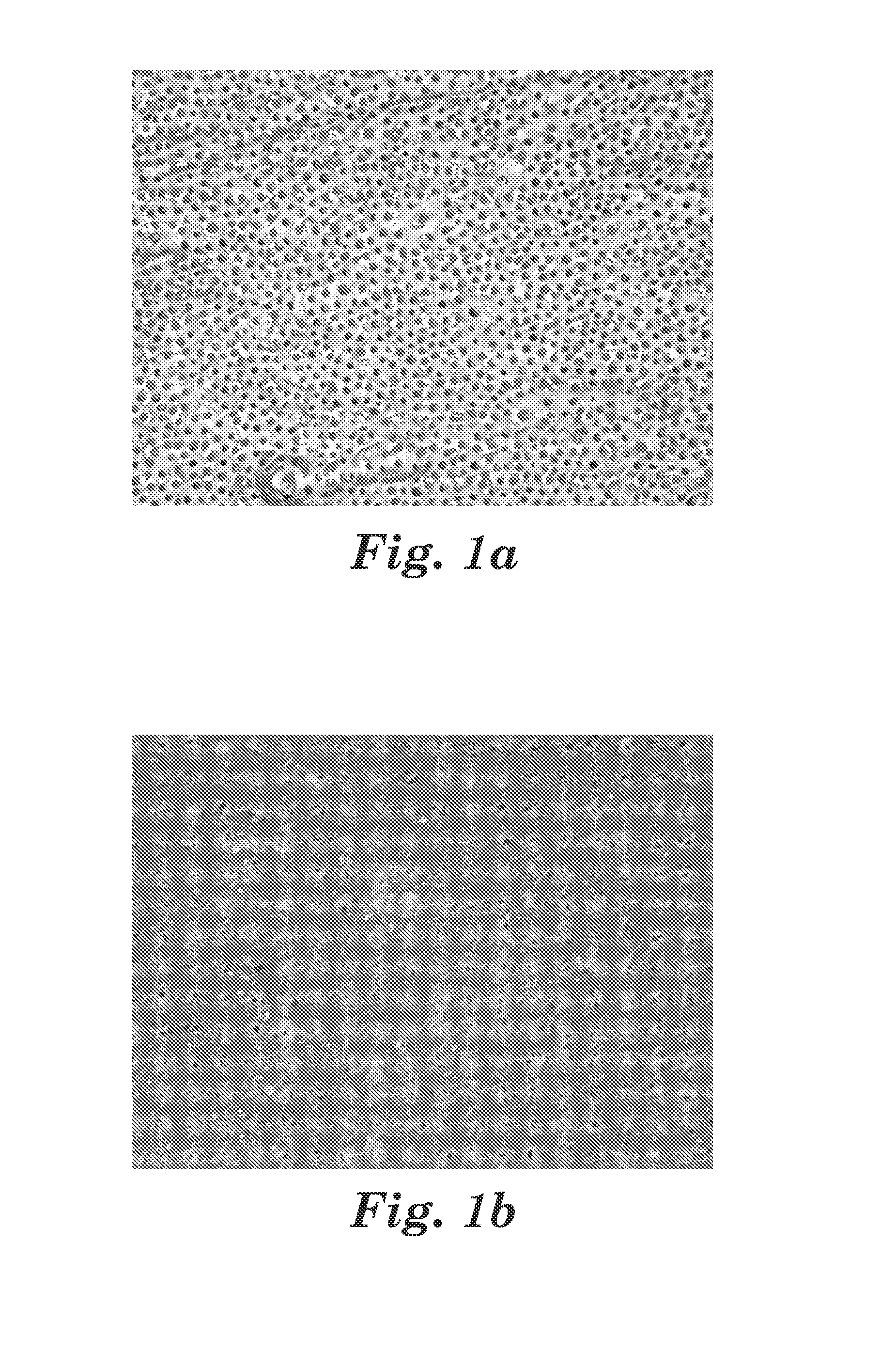 Powder composition for air polishing the surface of hard dental tissue