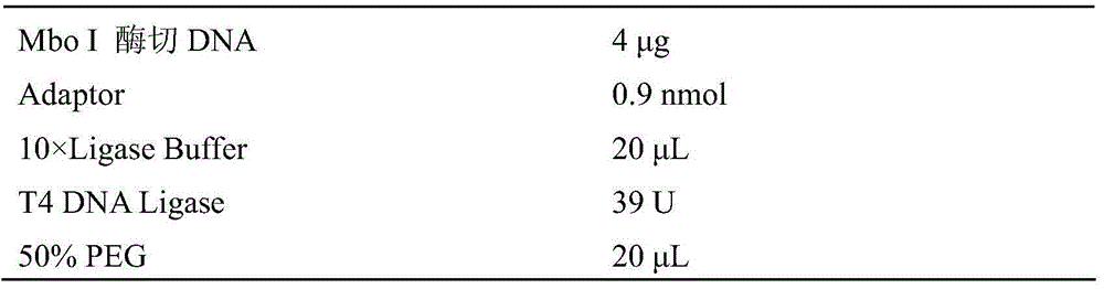 Hemifusus tuba microsatellite loci, and primers and application of hemifusus tuba microsatellite loci