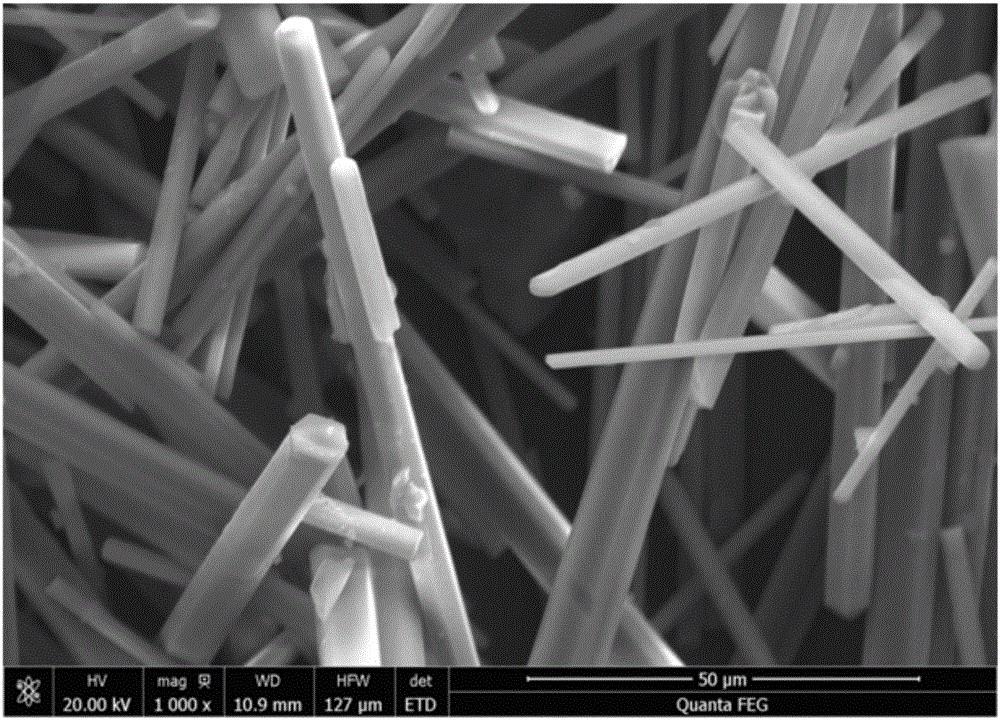 Method for preparing high-purity dihydrate gypsum whiskers by using industrial byproduct calcium chloride