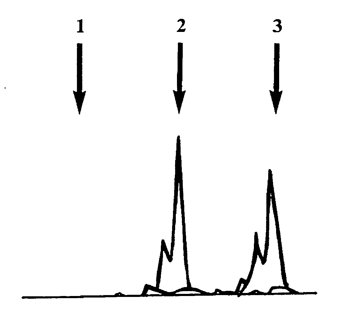 Method for the determination of data for the preparation of the diagnosis of phakomatosis
