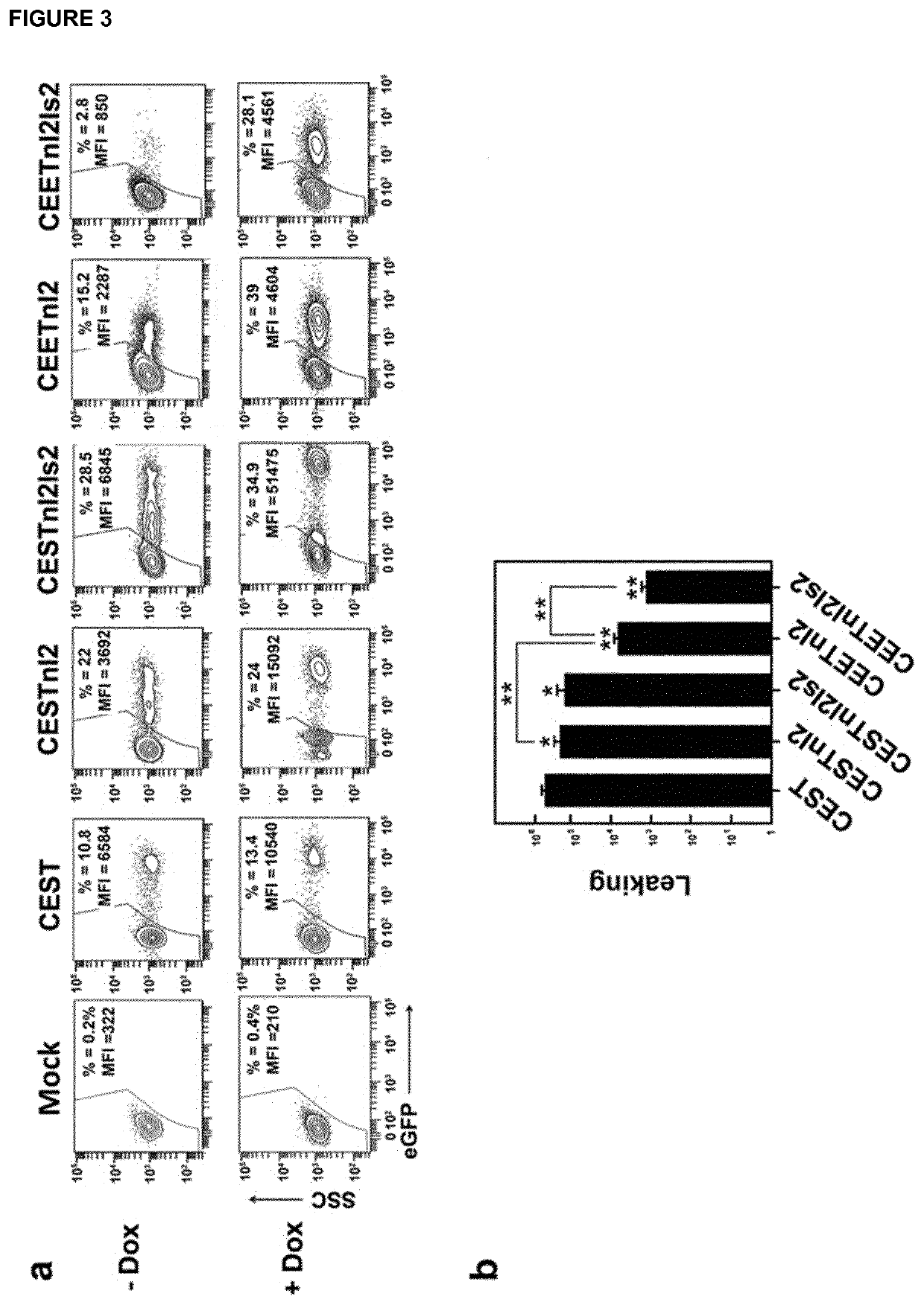 Lent-on-plus system for conditional expression in human stem cells