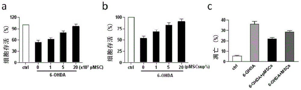 Application of mesenchymal stem cells in preparing medicine for treating neurodegenerative diseases