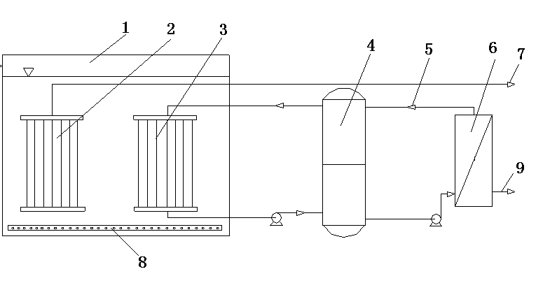 Immersion type double membrane bioreactor and salt-containing sewage treatment method