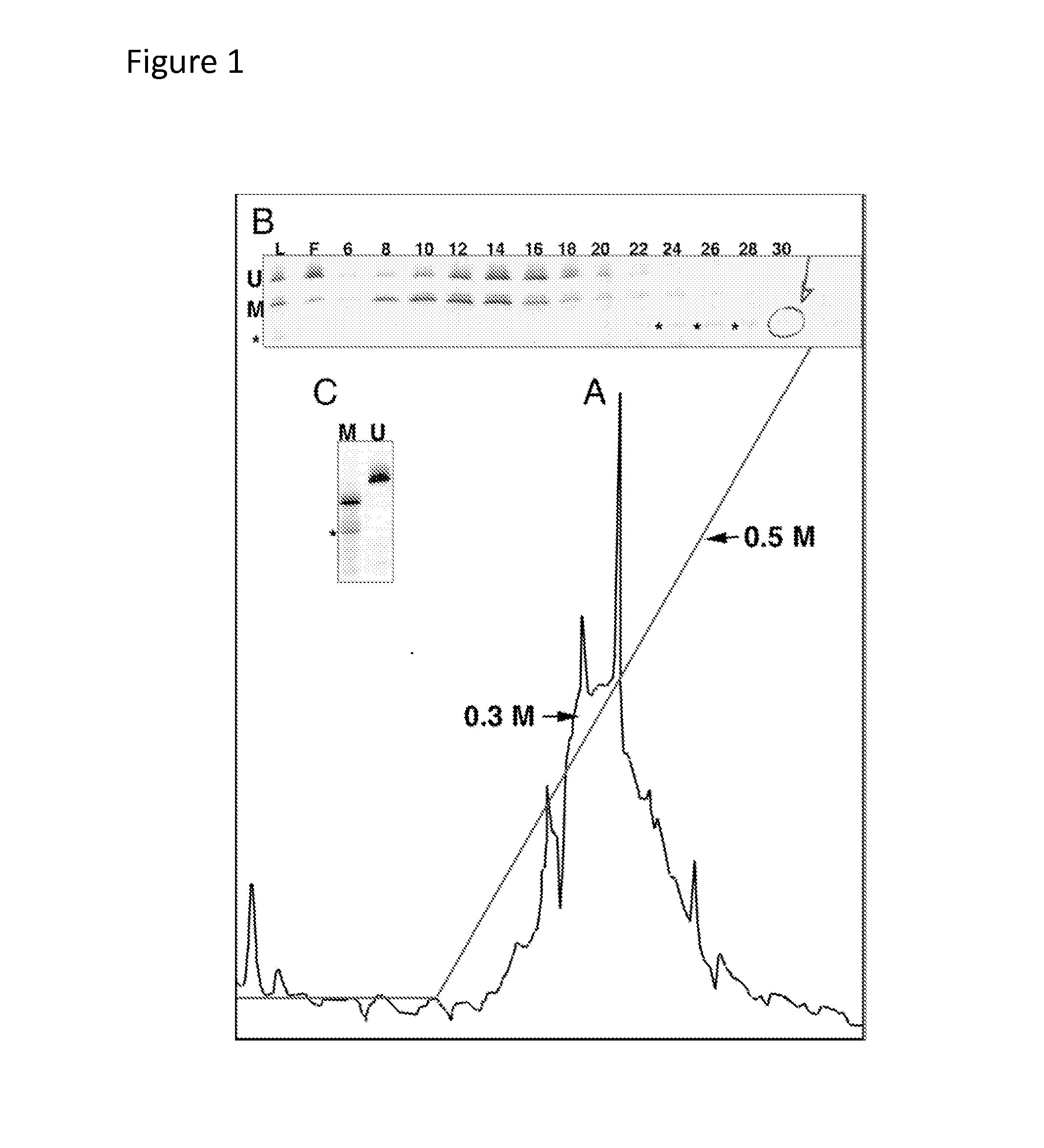 Method for Enriching Methylated CpG Sequences