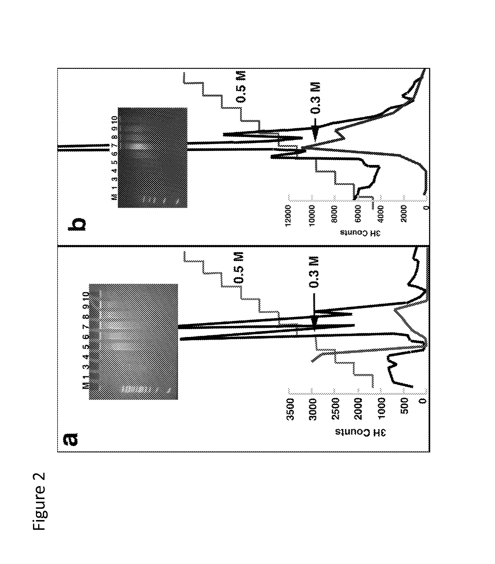 Method for Enriching Methylated CpG Sequences