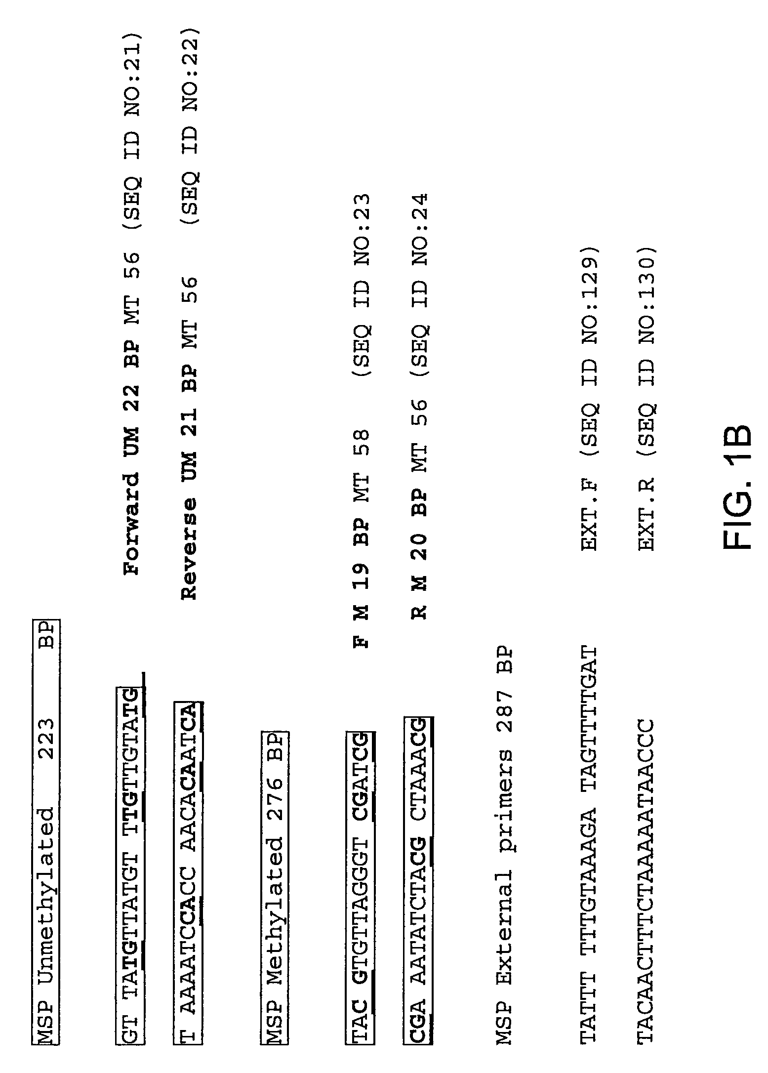 Aberrantly methylated genes as markers of breast malignancy