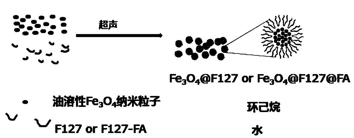 Multifunctional nano-cluster and preparation method thereof