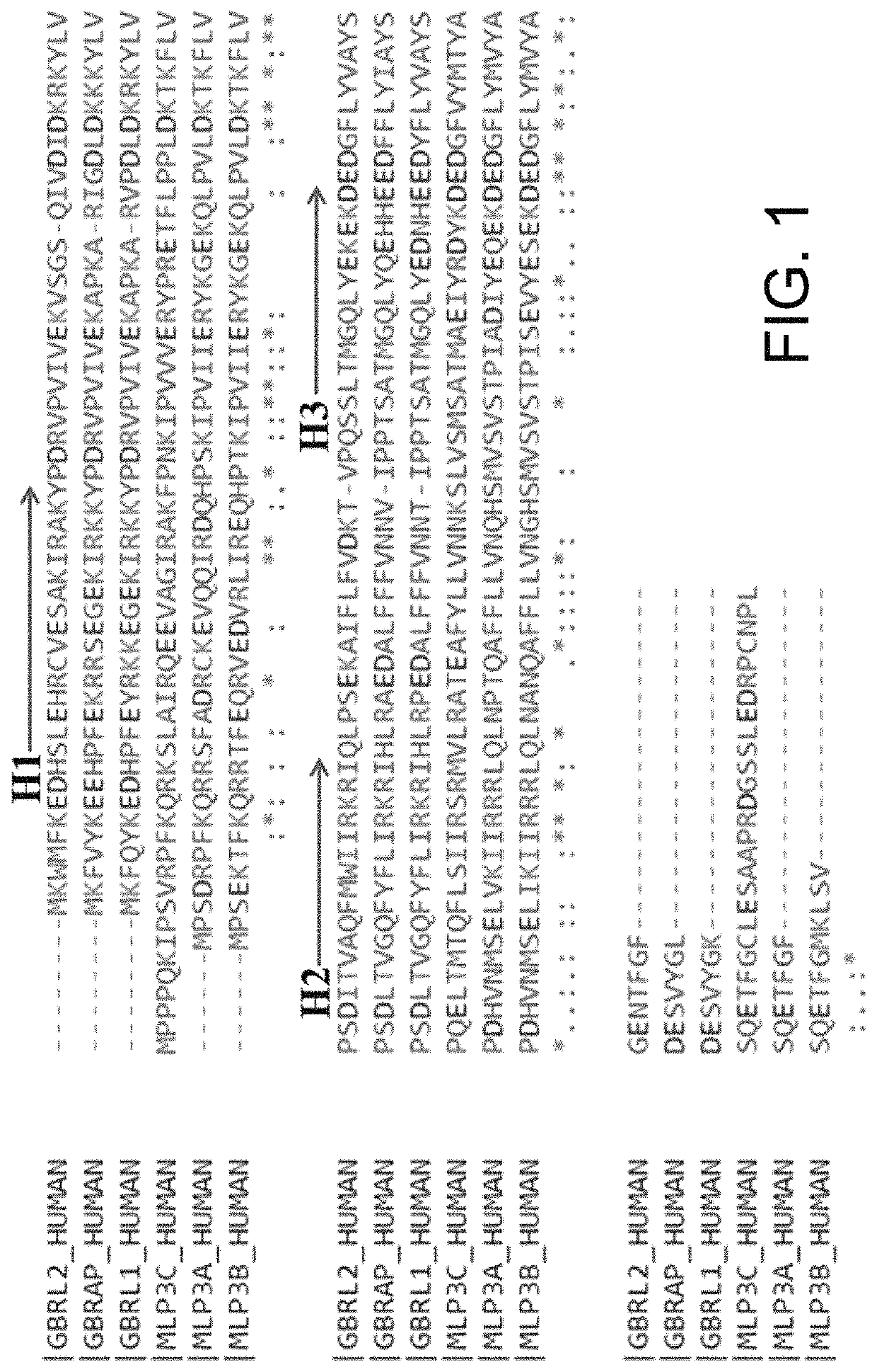 Isolated peptide, anti-cancer medicinal composition including the same and method of specifically reducing or inhibiting activities of cancer cells using the same