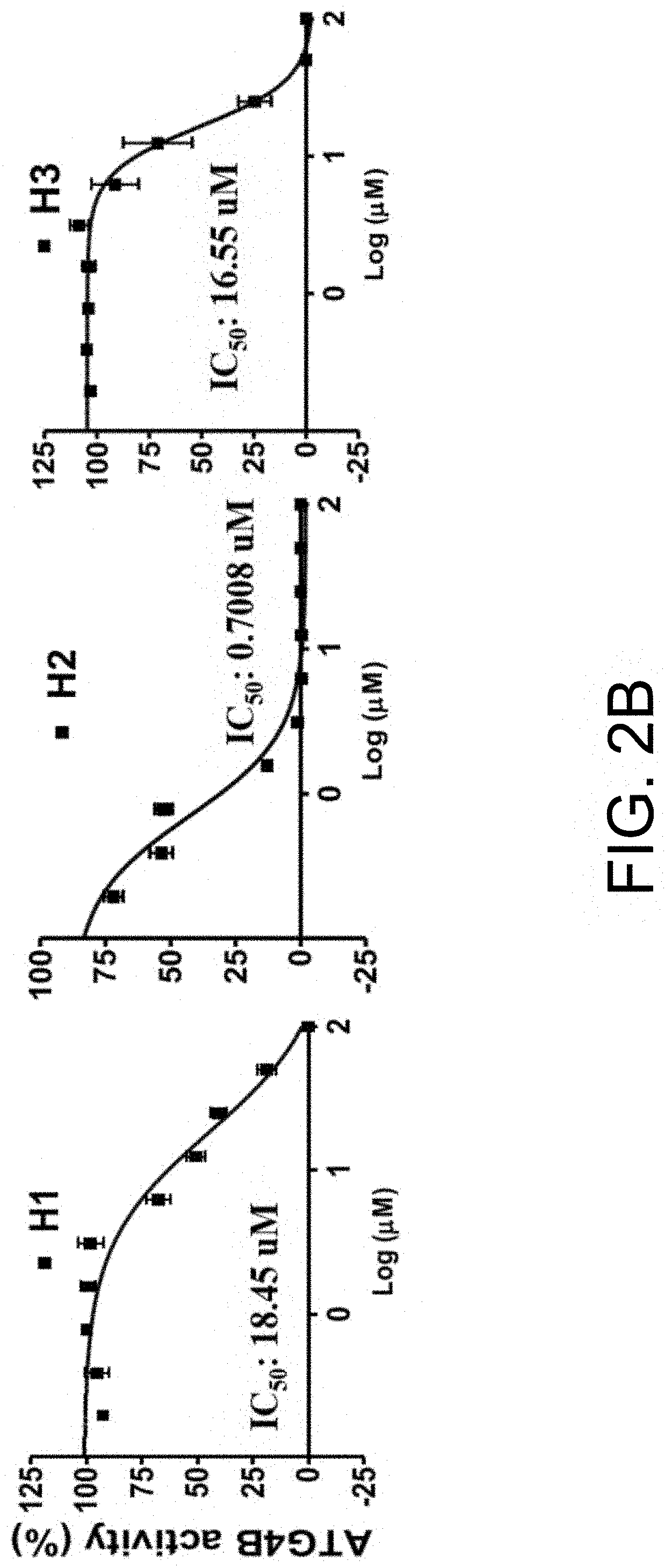 Isolated peptide, anti-cancer medicinal composition including the same and method of specifically reducing or inhibiting activities of cancer cells using the same