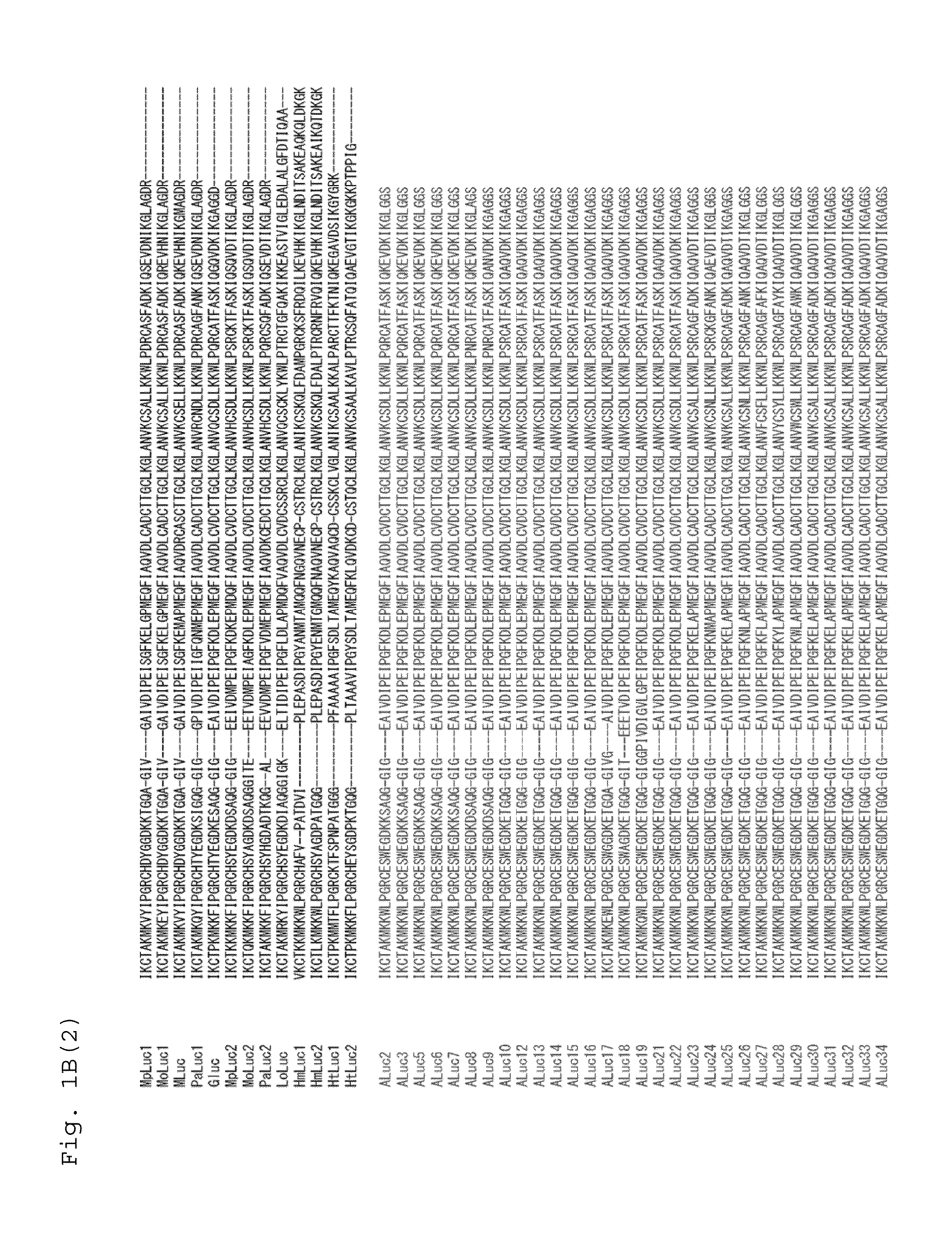 Artificial bioluminescent enzyme