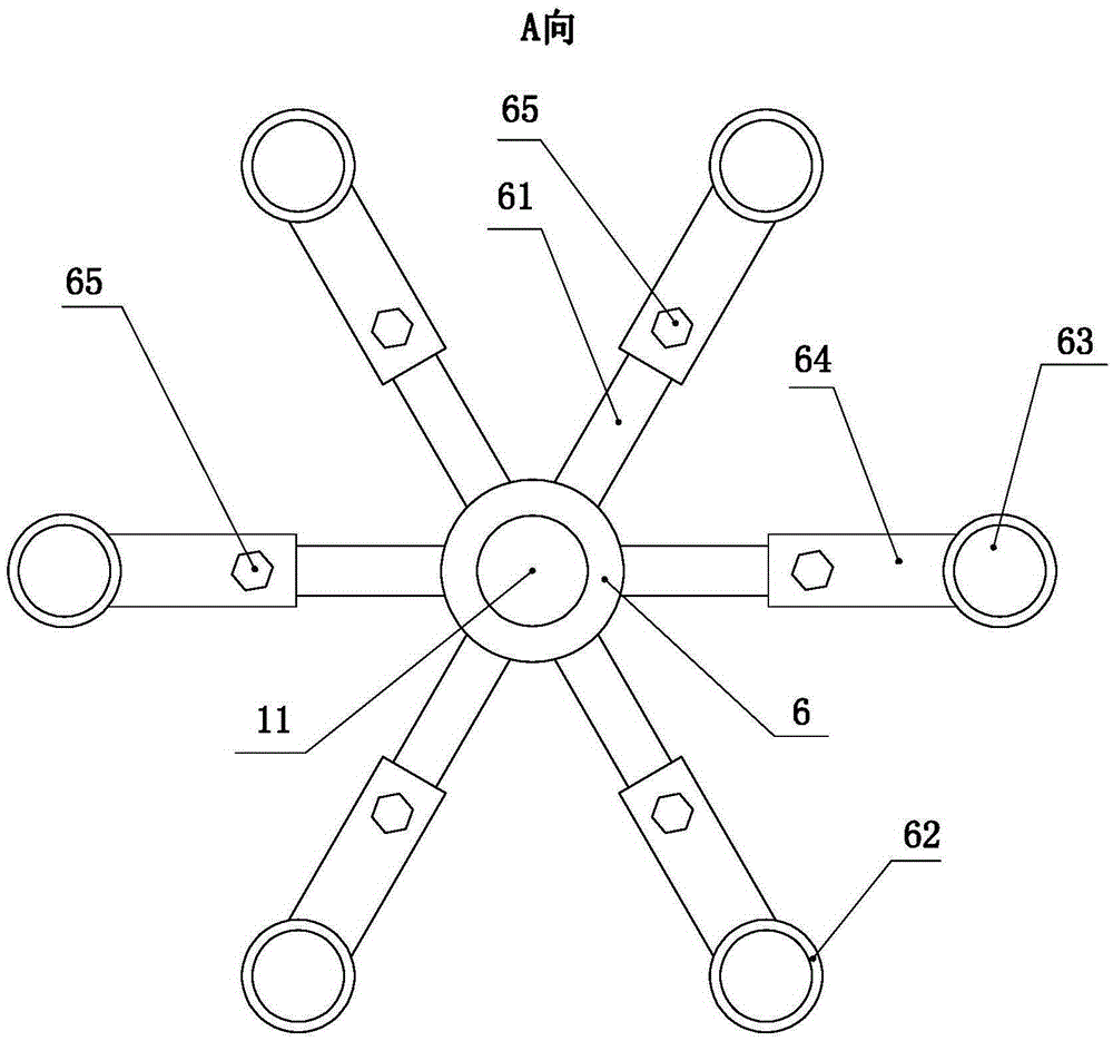 Radish seed shape evaluation apparatus and evaluation method