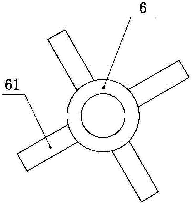 Radish seed shape evaluation apparatus and evaluation method