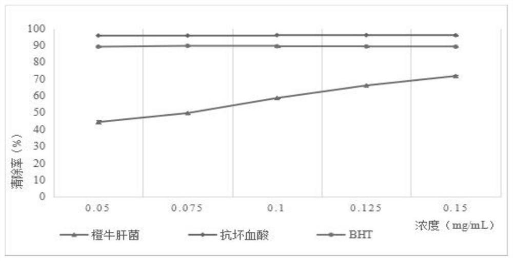 Extraction method and application of Boletus laetissimus Hongo crude polysaccharide