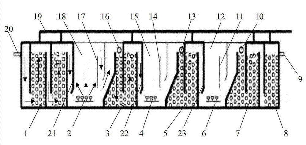 Domestic sewage non-backflow denitrification treatment device and method