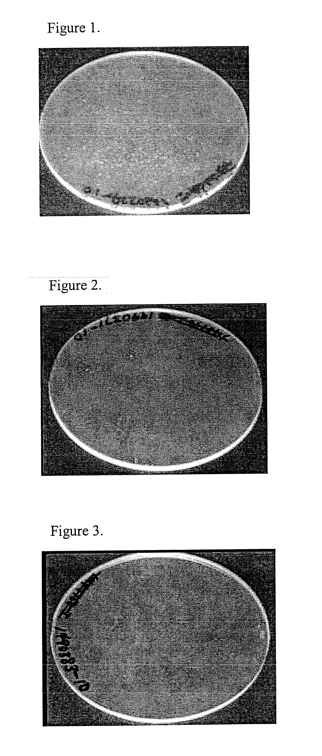 Thermoplastic composition, method of making, and articles formed therefrom