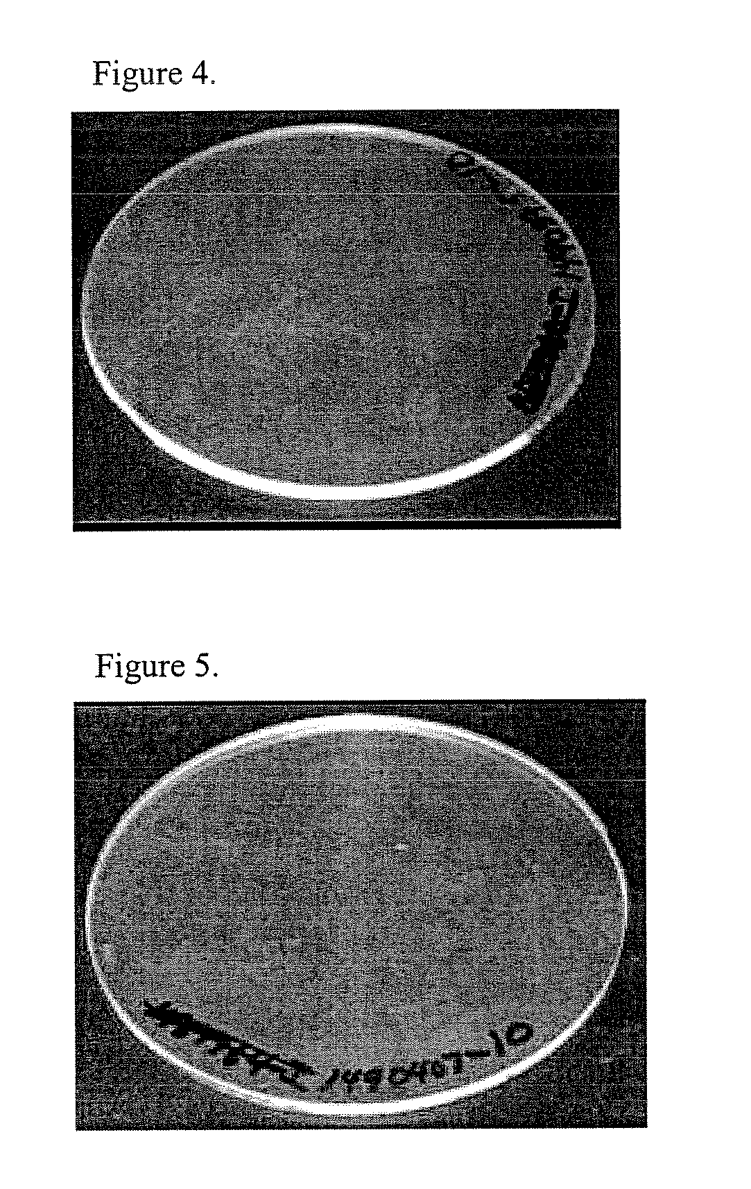 Thermoplastic composition, method of making, and articles formed therefrom